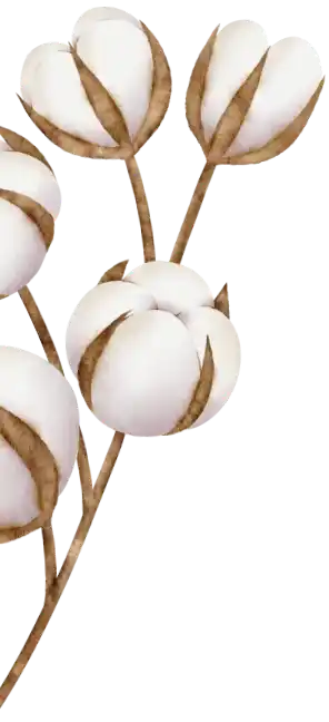 Algodón